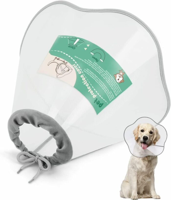 Wearing a Cone in the Crate Guidelines for Dogs