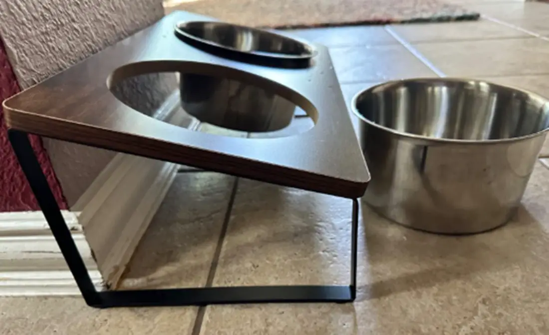 Top 10 Best Tilted Dog Bowls