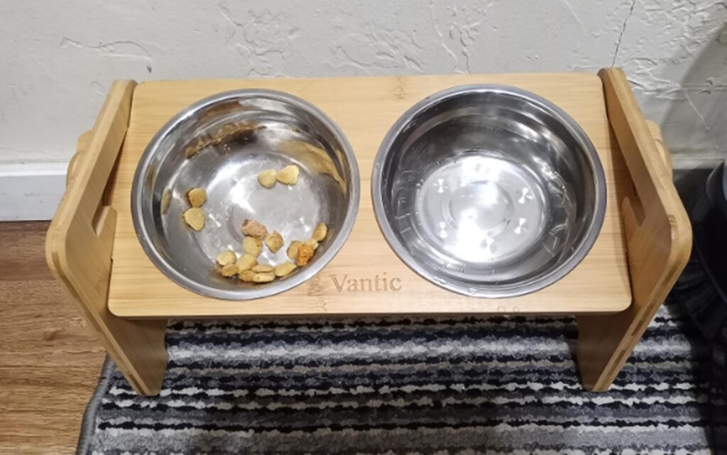 Are Tilted Bowls Better For Dogs