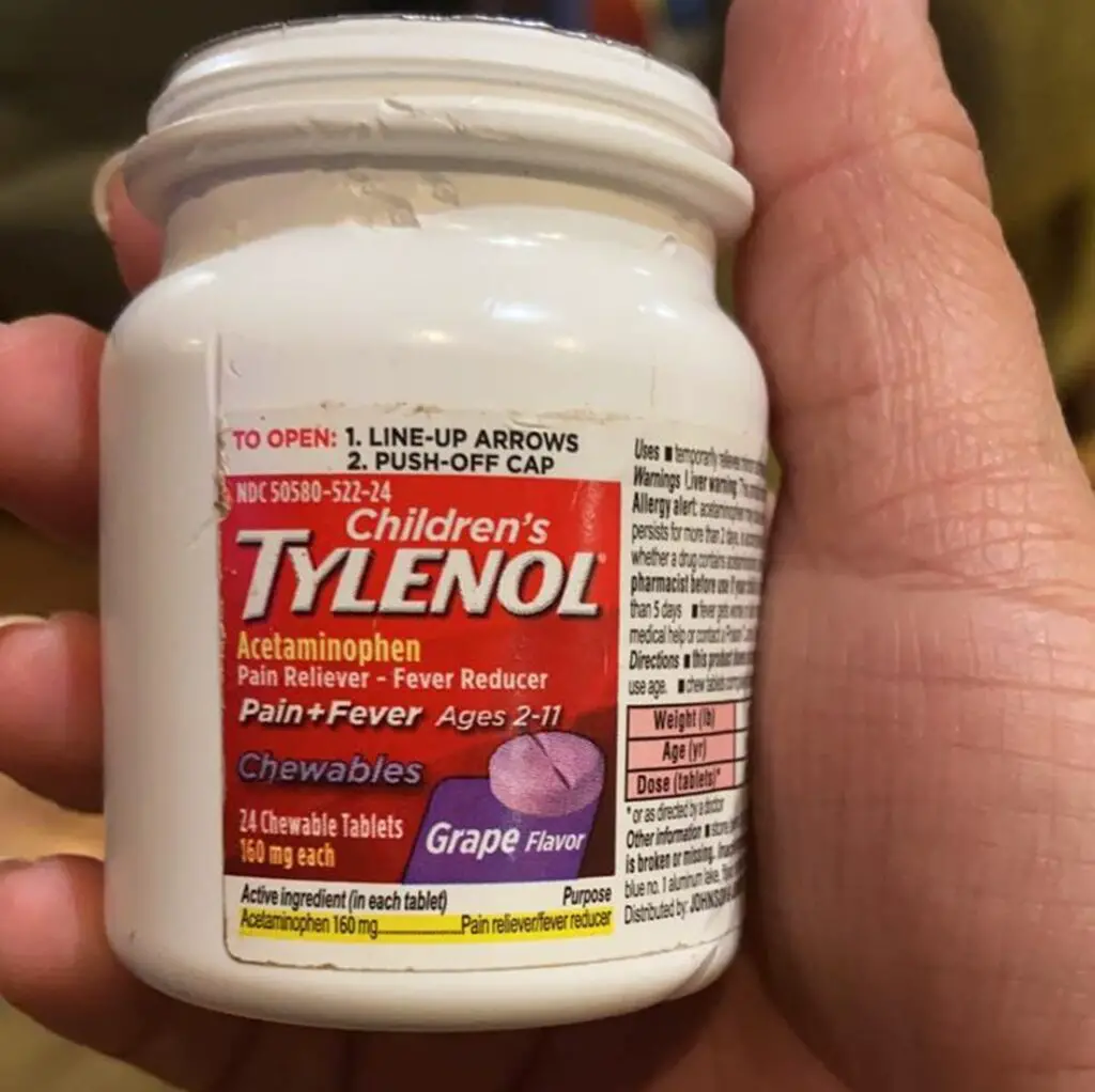 Can Dogs Safely Take Tylenol
