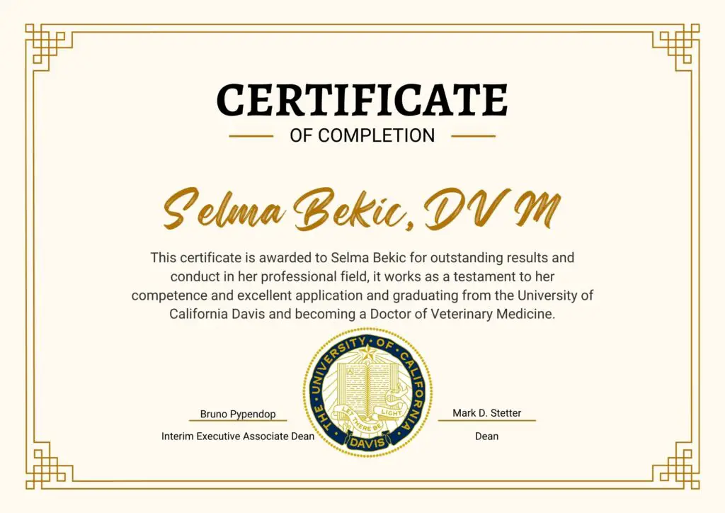 Dr. Selma Bekic (DVM) Bio Page