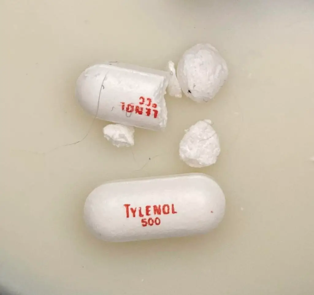 What To Do If My Dog Ate Tylenol