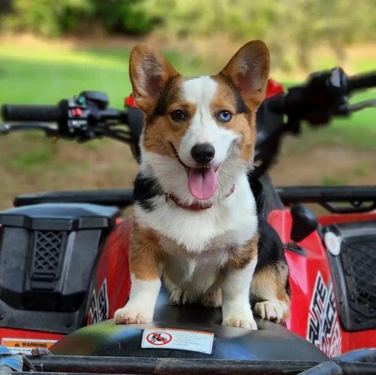 When Will My Calm Down?