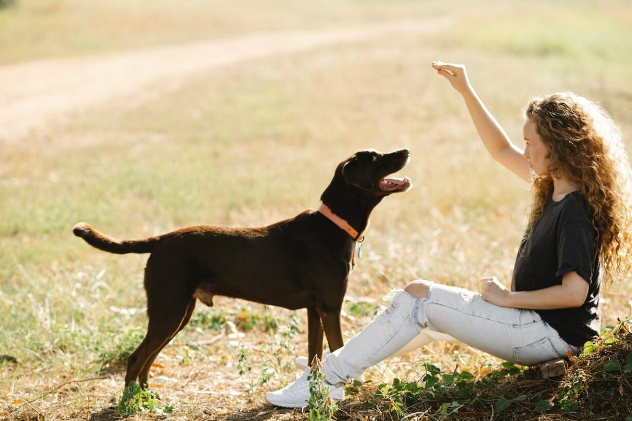 7 Reasons Why Your Dog Pushes You With His Feet