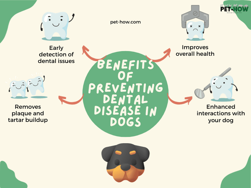 Benefits of Preventing Dental Disease in Dogs