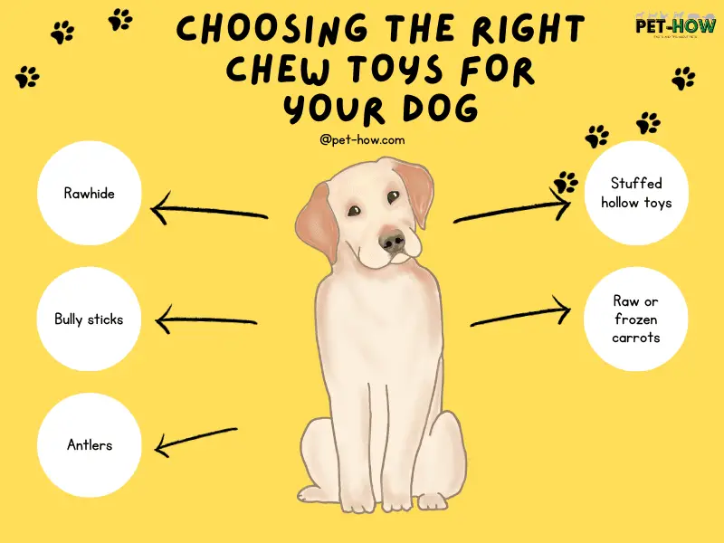 Choosing the Right Chew Toys for Your Dog