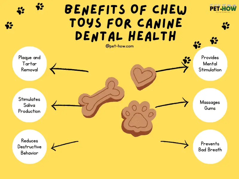 How To Improve Canine Dental Health with Quality Chew Toys