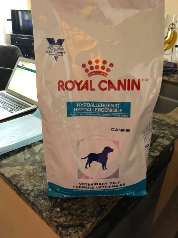 Why Do Vets Recommend Royal Canin (Answered!)