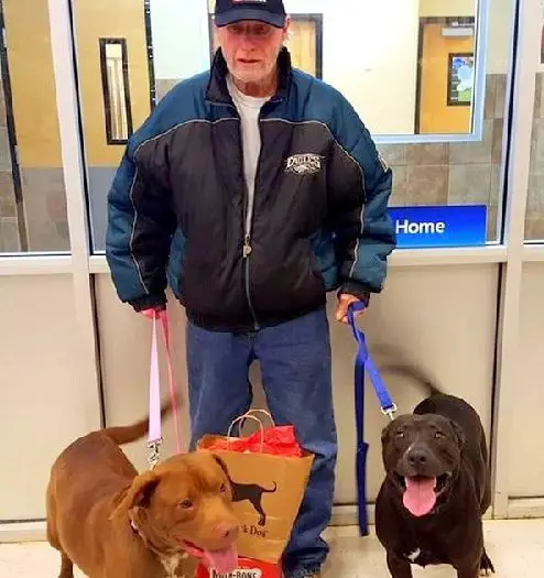 This Veteran surprised to get his dogs back, the Best reaction ever